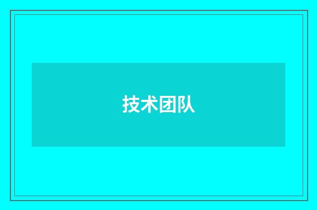 技术团队