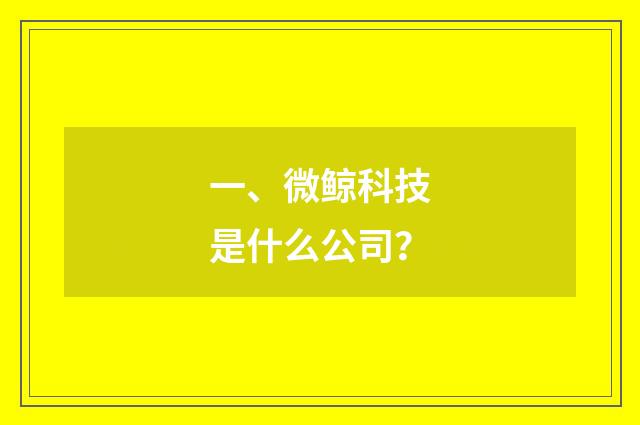 一、微鲸科技是什么公司？
