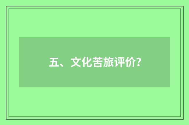 五、文化苦旅评价？