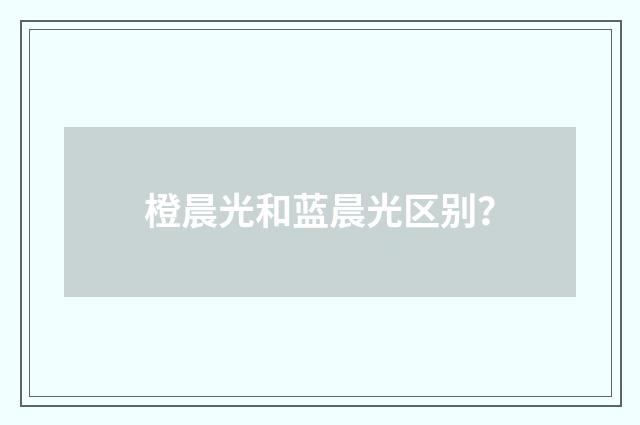 橙晨光和蓝晨光区别？