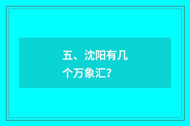 五、沈阳有几个万象汇？