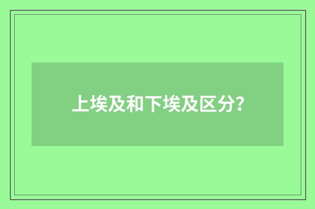 上埃及和下埃及区分？