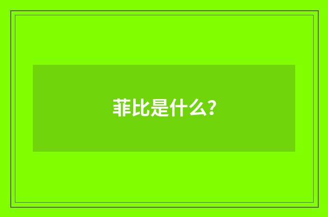 菲比是什么？