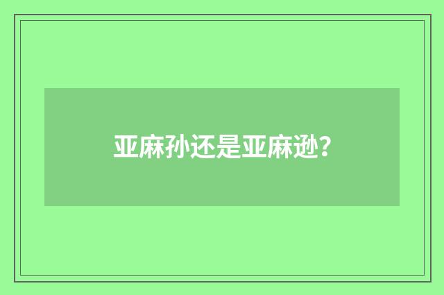 亚麻孙还是亚麻逊？