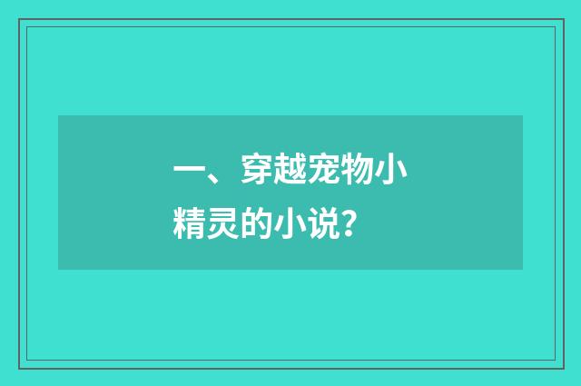 一、穿越宠物小精灵的小说？