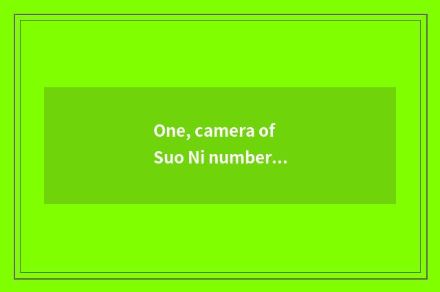 One, camera of Suo Ni number, computer connection?