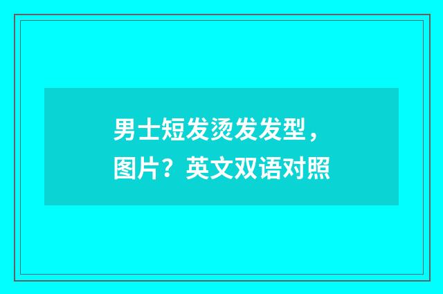 男士短发烫发发型，图片？英文双语对照