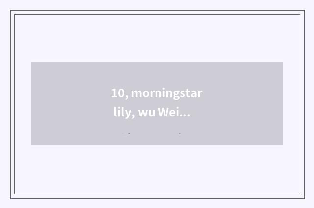 10, morningstar lily, wu Wei, piece assist, what does the cate that fine valley 