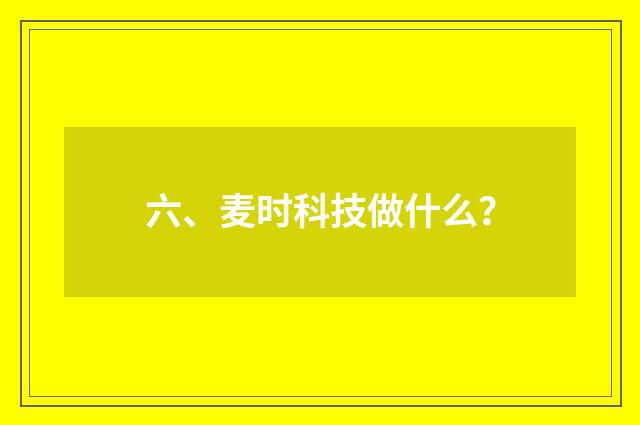 六、麦时科技做什么？