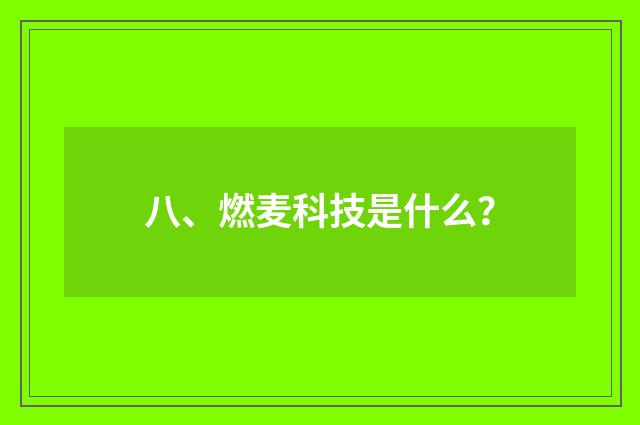 八、燃麦科技是什么？