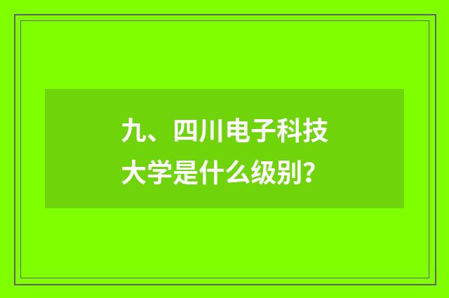 九、四川电子科技大学是什么级别？