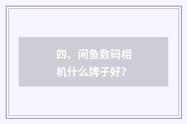 四、闲鱼数码相机什么牌子好？