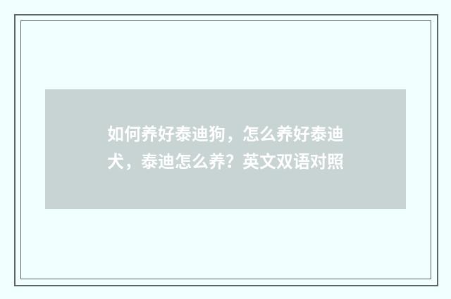 如何养好泰迪狗，怎么养好泰迪犬，泰迪怎么养？英文双语对照