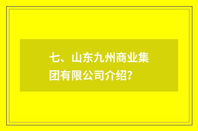 七、山东九州商业集团有限公司介绍？