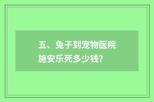 五、兔子到宠物医院施安乐死多少钱？