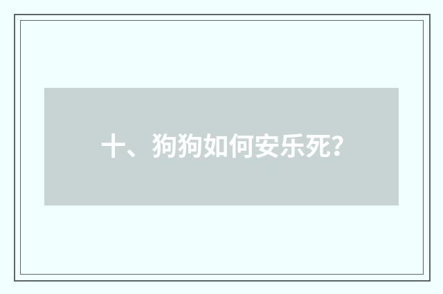十、狗狗如何安乐死？