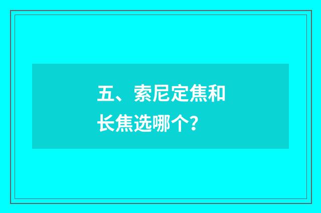 五、索尼定焦和长焦选哪个？