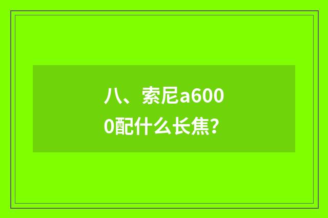 八、索尼a6000配什么长焦？