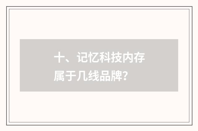 十、记忆科技内存属于几线品牌？