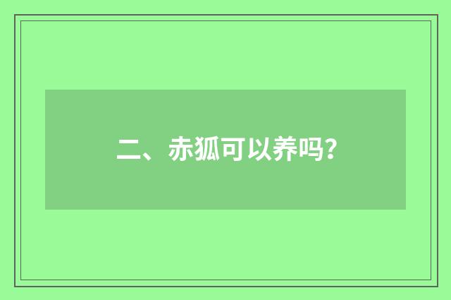 二、赤狐可以养吗？