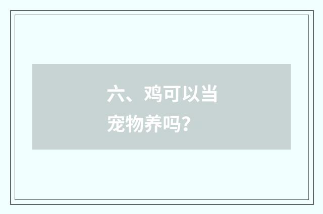 六、鸡可以当宠物养吗?
