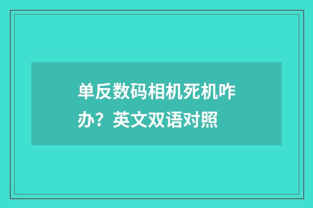 单反数码相机死机咋办？英文双语对照