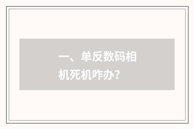 一、单反数码相机死机咋办？