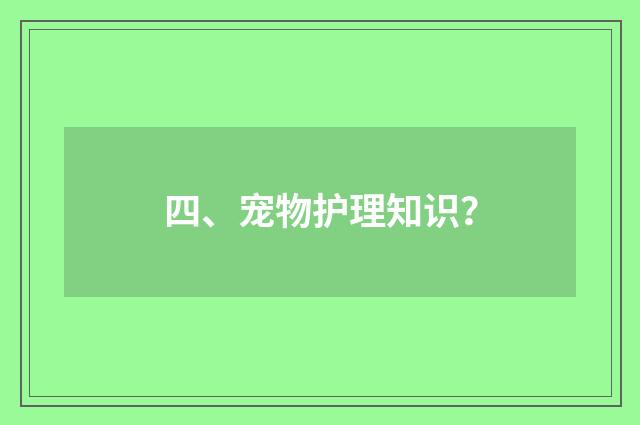 四、宠物护理知识？