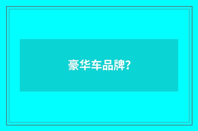 豪华车品牌？