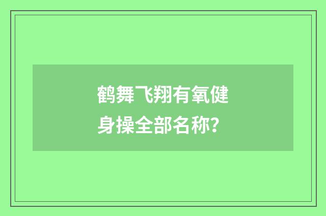 鹤舞飞翔有氧健身操全部名称？
