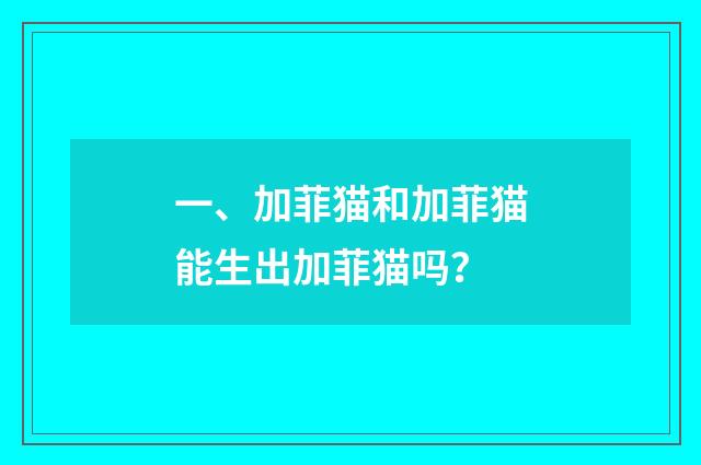 一、加菲猫和加菲猫能生出加菲猫吗?