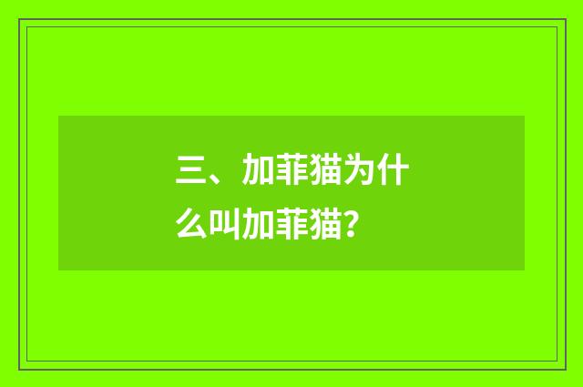 三、加菲猫为什么叫加菲猫？