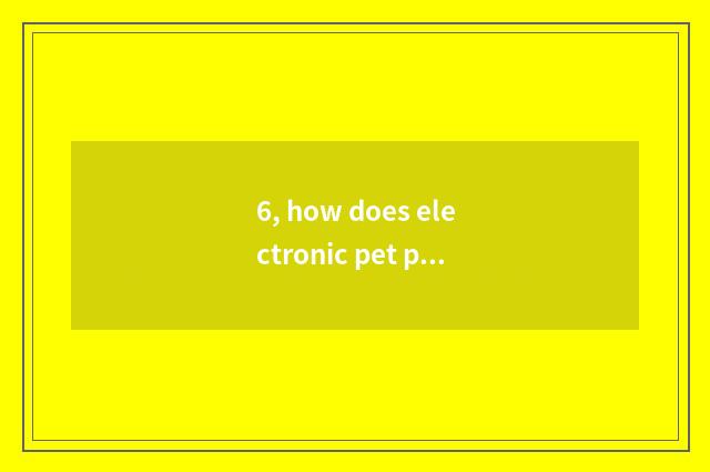 6, how does electronic pet play?