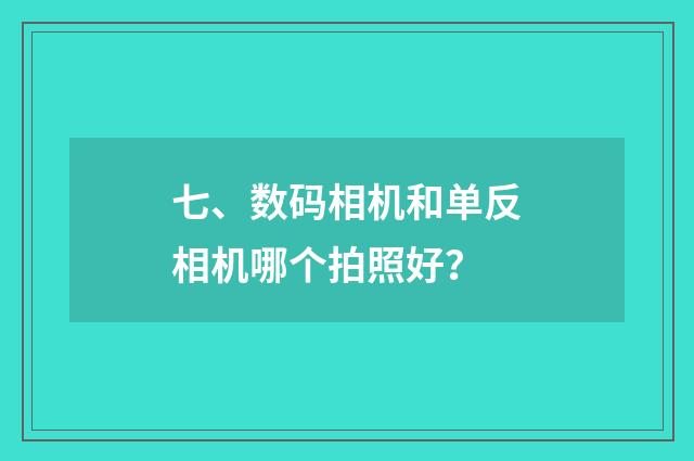 七、数码相机和单反相机哪个拍照好？