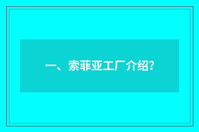 一、索菲亚工厂介绍？