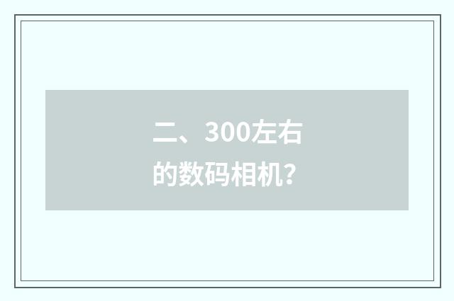 二、300左右的数码相机？