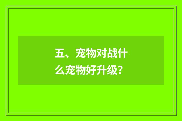 五、宠物对战什么宠物好升级？