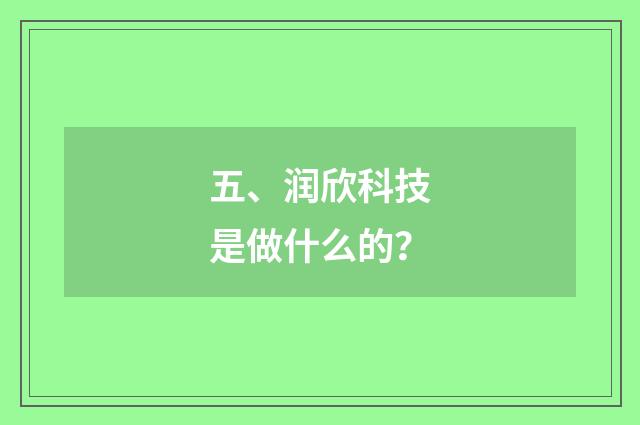 五、润欣科技是做什么的？