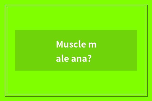 Muscle male ana?