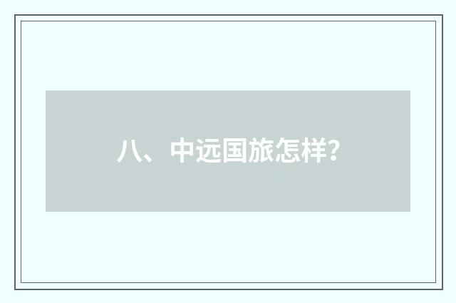 八、中远国旅怎样？