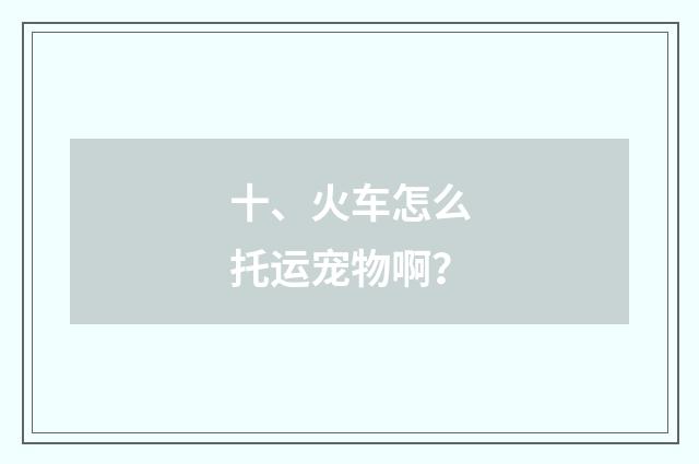 十、火车怎么托运宠物啊?