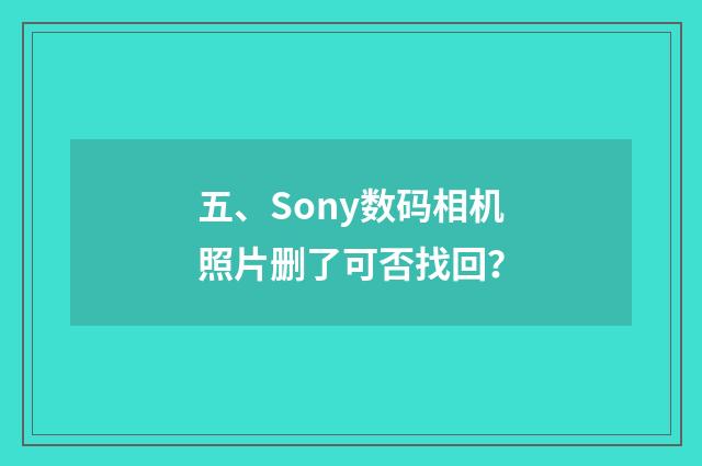 五、Sony数码相机照片删了可否找回？