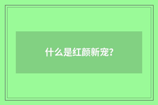 什么是红颜新宠？