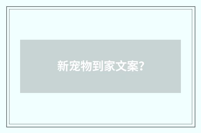 新宠物到家文案？