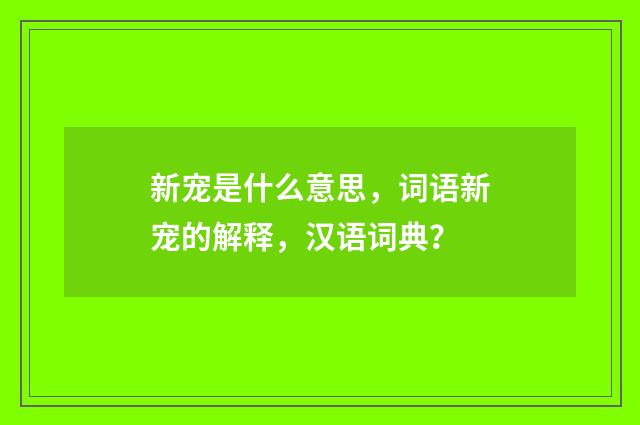 新宠是什么意思,词语新宠的解释,汉语词典?