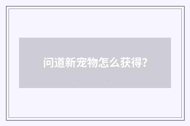 问道新宠物怎么获得？