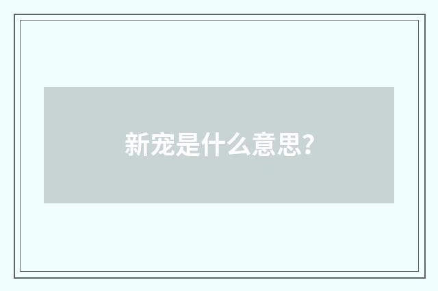 新宠是什么意思？