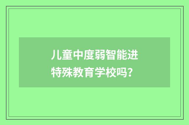 儿童中度弱智能进特殊教育学校吗？