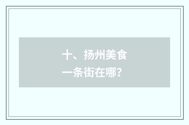 十、扬州美食一条街在哪？