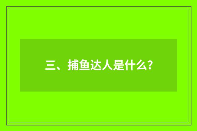 三、捕鱼达人是什么？